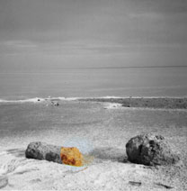 L�sungsbild Salzw�ste Marokko